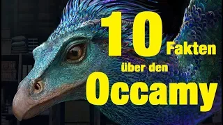 10 FAKTEN über den OCCAMY