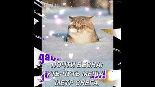 С последним днём зимы! Завтра весна!