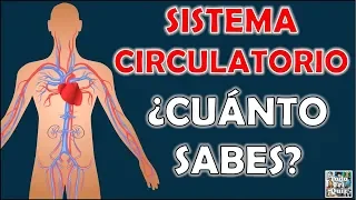 ¿Cuánto Sabes Sobre el "APARATO CIRCULATORIO"? Test/Trivial/Quiz