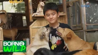 Born to be Wild: An animal shelter built by a 12-year-old boy