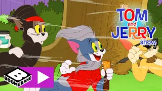 Tom és Jerry | A szomszéd macska | Cartoonito