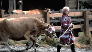 Elderly woman keeps giant crocodile as pet, feeds a cow a day