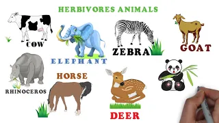 Herbivores | Omnivores | Carnivores| Animals Eating Habits | Types of animals