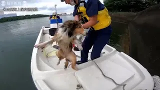 岸壁に取り残された犬、巡視艇乗組員が救助　飼い主に届ける