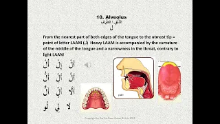 Tajweed: Makhraj Practice (Dhaad ض , laam ل , raa ر , noon ن  )