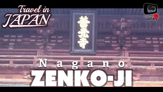 Travel in Japan | Nagano Zenko-ji | Sengoku!! Buddhism Temple | 長野善光寺