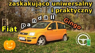 Fiat Panda II - Zaskakująco uniwersalny i praktyczny