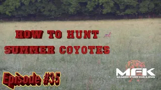 How to Hunt Summer Coyotes in Tennessee S8:E35