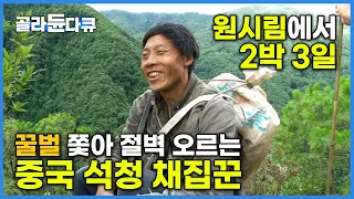 해발 3,500m 고산에서 꿀벌을 쫓아 목숨 걸고 절벽을 오르는 사람들|산삼에 버금가는 자연의 보물 석청을 얻기 위한 사투|중국 석청 채집꾼|극한직업|#골라듄다큐