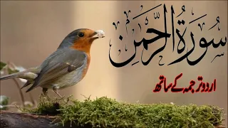 Surah Rahman With Urdu Translation full Qari Al Sheikh Abdul Basit Abdul Samad (2023)