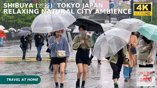 4k hdr japan travel | Rainy day Walk in Shibuya (渋谷) Tokyo japan |  Relaxing Natural City ambience
