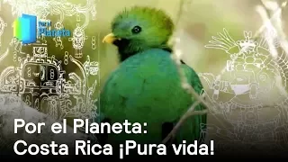 Costa Rica, país con mayor biodiversidad por kilómetro cuadrado del mundo - Despierta con Loret