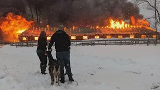 Emotional Surprise For Founder of Animal Rescue Non-Profit That Suffered Tragic Fire