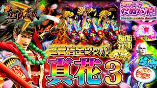 これが真花3の真骨頂！？ P真・花の慶次3　パチンコ新台実践『初打ち！』2022年1月新台＜ニューギン＞【たぬパチ！】