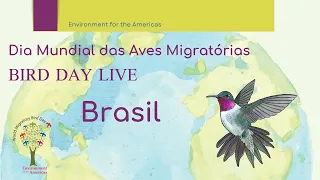 Dia Mundial das Aves Migratórias - Brasil - Bird Day Live 2024