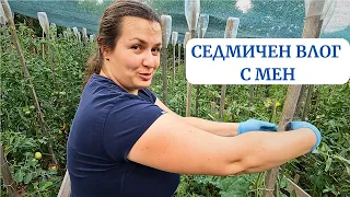 Живот на село: Седмичен влог с Кали еп. 1