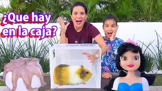 ¿QUE HAY EN LA CAJA? | AnaNana Toys