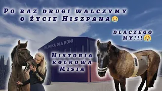 Vlog #9 Po raz drugi walczymy o życie Hiszpana 😭