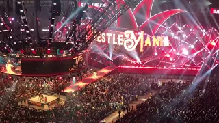 Wrestlemania 34 The Usos Entrance (Fan Video)