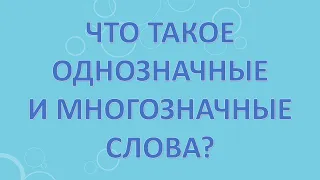 Что такое однозначные и многозначные слова?