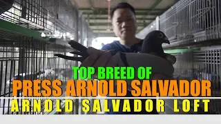 Top Breed of Press Arnold Salvador in Pigeon Racing