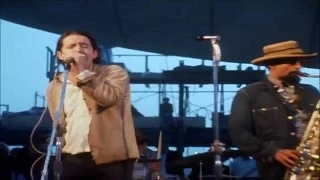 zd Woodstock 1969 Paul Butterfield Blues Band