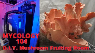 Mycology 104-DIY Fruiting Room