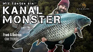 Karpfenangeln | Der Monsterschuppi aus dem Kanal!!! #urbanfishing