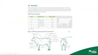 Checking your cows are at optimum condition score this winter