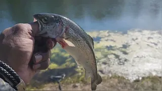Oregon Re-stock Trout Fishing experience..... total bag count (720 bags) out 14days