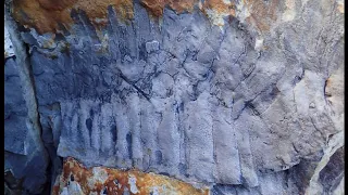 Giant millipede fossil found in Northumberland by chance (UK) - BBC News - 21st December 2021