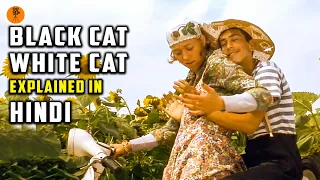 Black Cat White Cat (1998) Movie Explained in Hindi | 9D Production