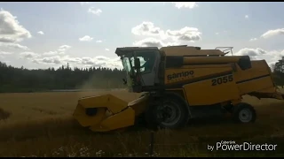 Harvesting oats. Kauran puintia.