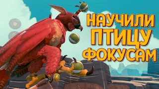 НАУЧИЛИ ПТИЦУ ФОКУСАМ В VR ( Falcon Age )