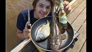 Monster Flathead & Bream - Catch n Cook!