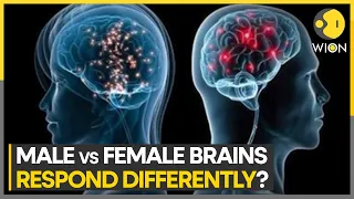 Research reveals how brain cells of males and females respond to stress | Latest News | WION