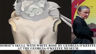 Horse's Skull with White Rose by Georgia O'Keeffe at The Georgia O'Keeffe Museum