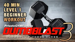 Dumbbell Workout - (W2, D2) Lower Body + Cardio // BEGINNER | DUMBBLAST 3 🔥200-300 kcal