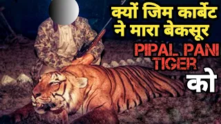 Why Jim Corbett Killed Pipal Pani Tiger and regretted later । Man Eater of Kumaon। Facts phylum