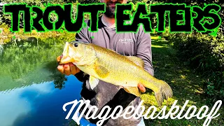 Bass Fishing in Magoebaskloof !