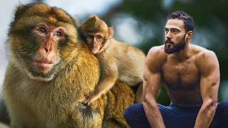 Je SAUTE avec les MACAQUES au MAROC🇲🇦