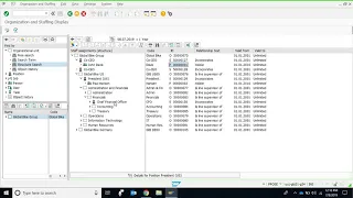 SAP HCM OM 1: Organizational Plan Display 1