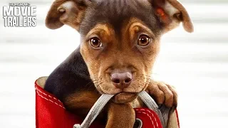 A DOG'S WAY HOME Trailer NEW (2019) - Ashley Judd Family Adventure Movie