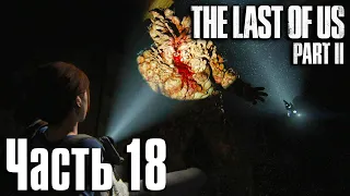 The Last of Us: Part 2 (Одни из Нас: Часть 2) Прохождение Часть 18 "Поиск струн"