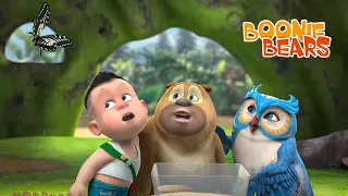 Boonie Bears 🐾 Turn Your Head and Cough🌲 Best episodes cartoon collection 🎬 Funny Cartoon 2023 🙌