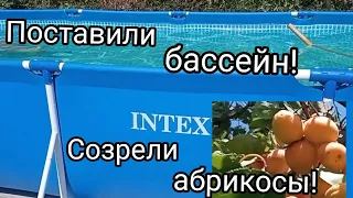 Жизнь на юге в Гиагинской/Поставили бассейн/Созрели абрикосы/