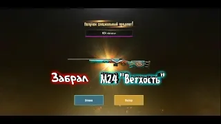 Забрал M24 "Ветхость"