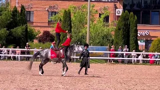 Клуб Легенда, терские лошади, показательные выступления по джигитовке