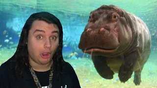 We Went To The Aquarium *NO CLICKBAIT*