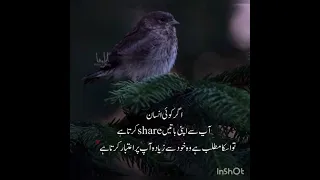 Sunehry batain @ Motivation Quotes in urdu.